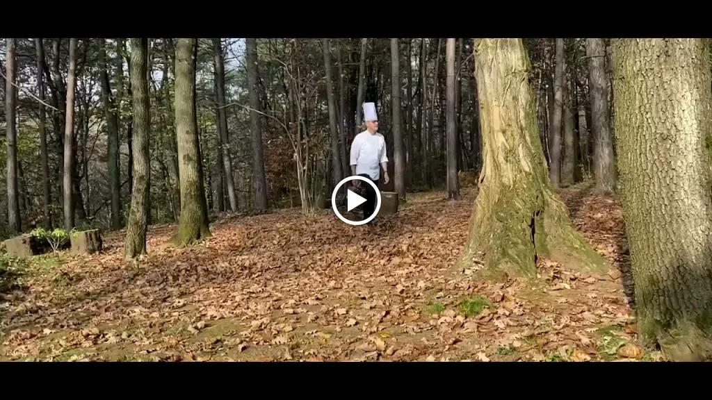 Ristorante Tarantola_Appiano Gentile_slider_image_2