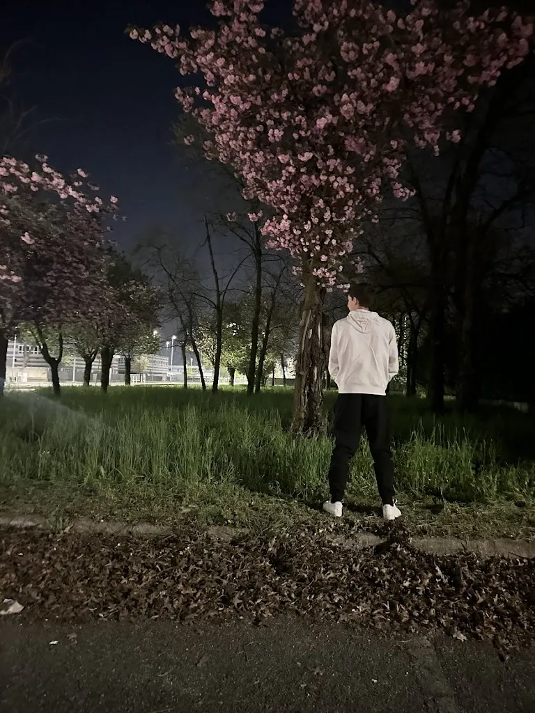 The Official Ricci *_Le Piramidi_Arcene_review