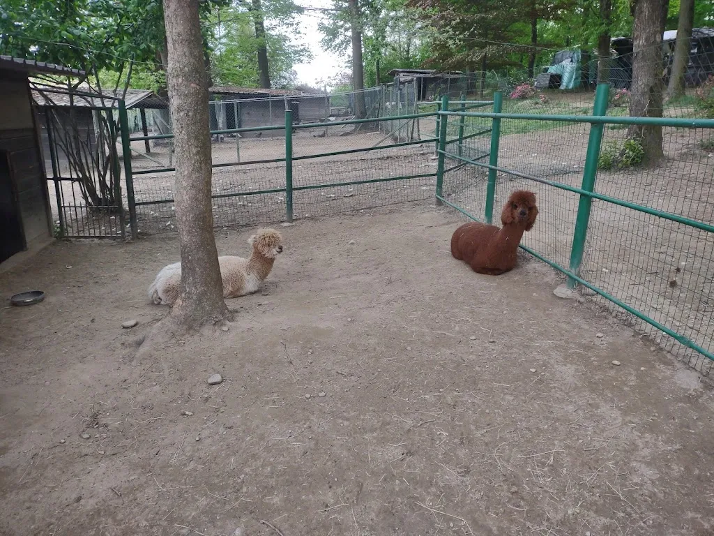 d0rian7_Agriturismo il Vecchio Castagno_Angera_review