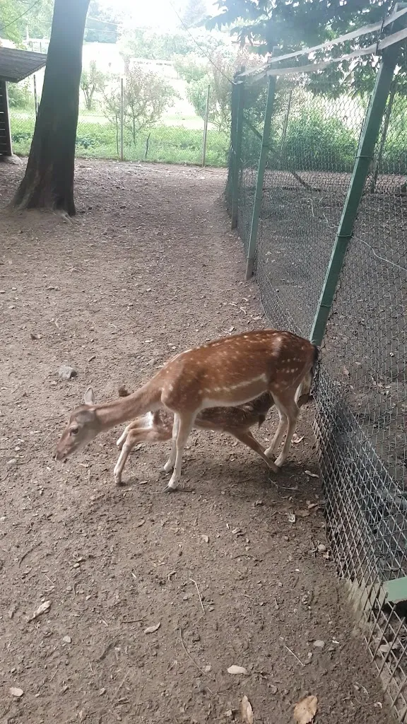 Agriturismo il Vecchio Castagno_Angera_slider_image_2