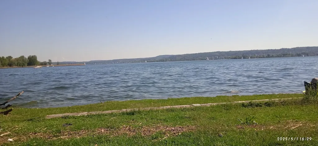 Criceto Volante_Lungolago di Angera_Angera_review