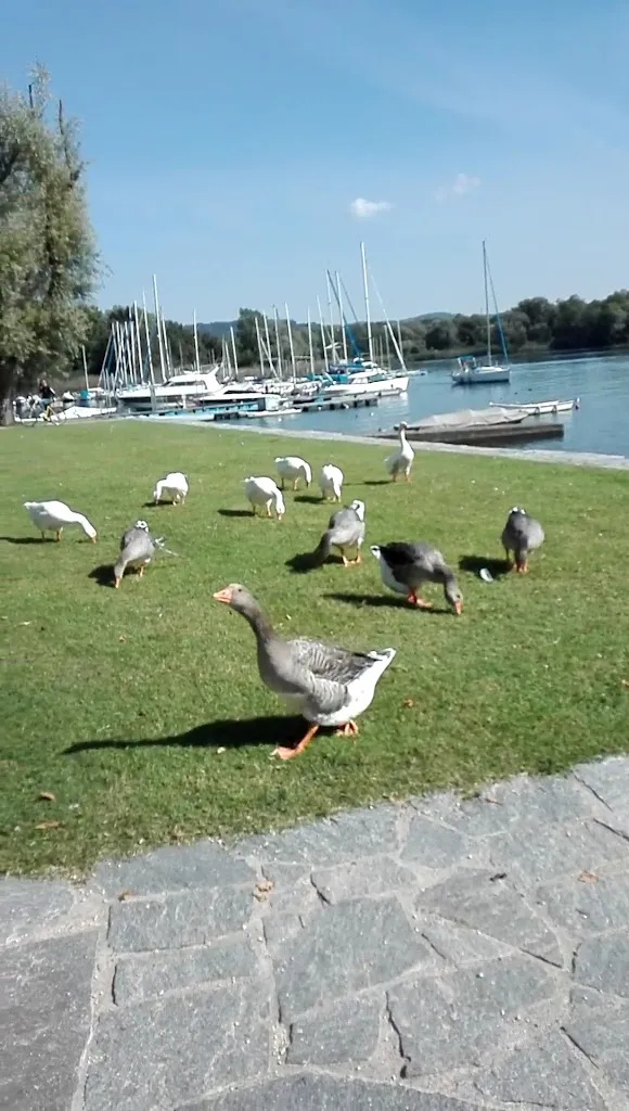 Lungolago di Angera_Angera_slider_image_2