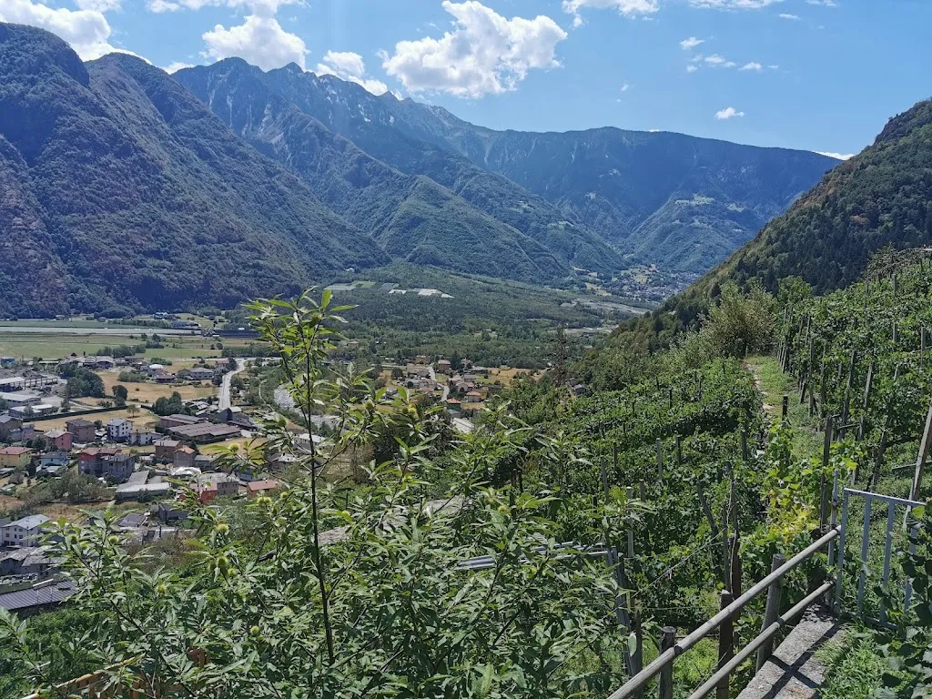 Agriturismo La pergola_Ardenno_slider_image_3