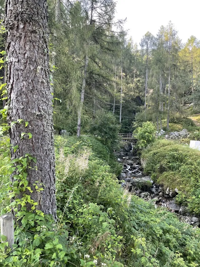 CHE-HSIEN Jason LAI, PMP_Il Piccolo Chalet_Aprica_review