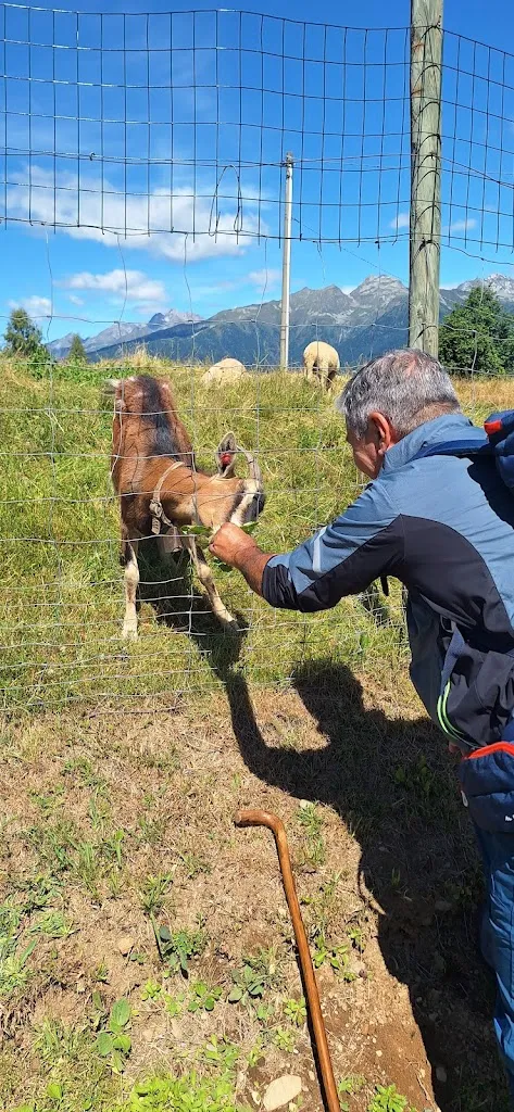 Barbara Castelnovo_Agriturismo Piscè_Aprica_review