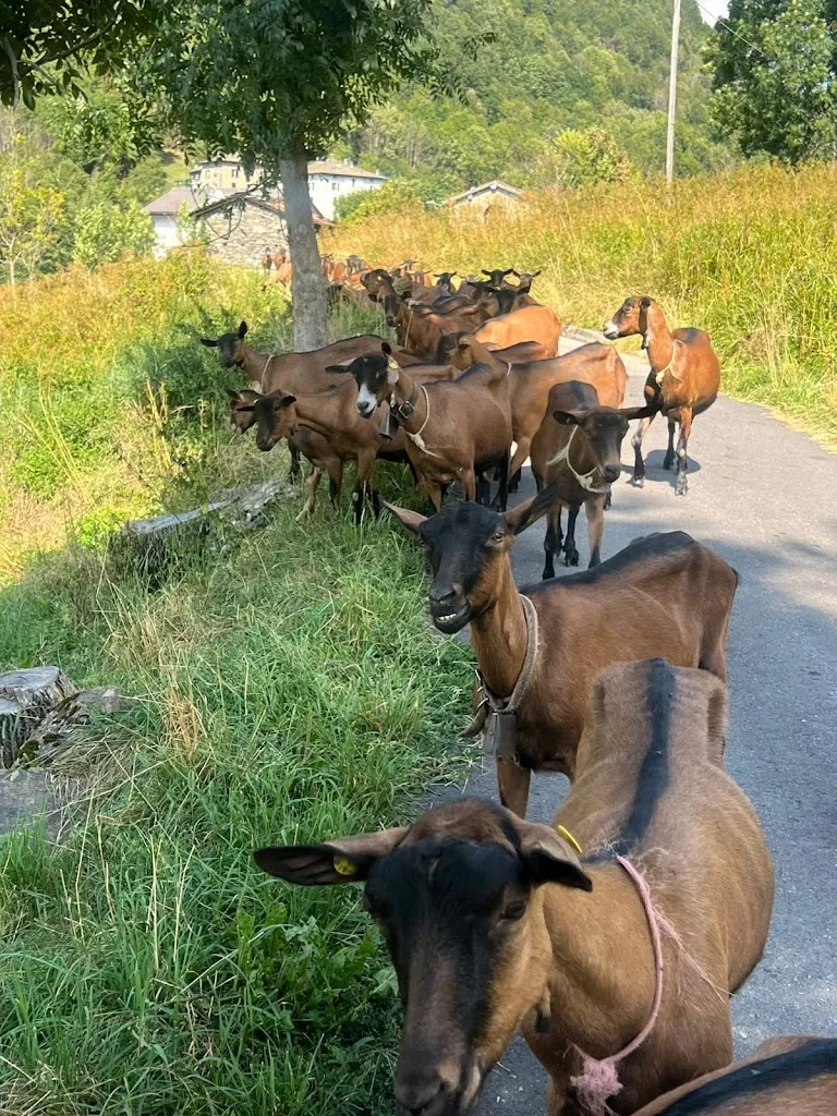 Giorgio Goglio_Agriturismo Lì Spondi_Aprica_review