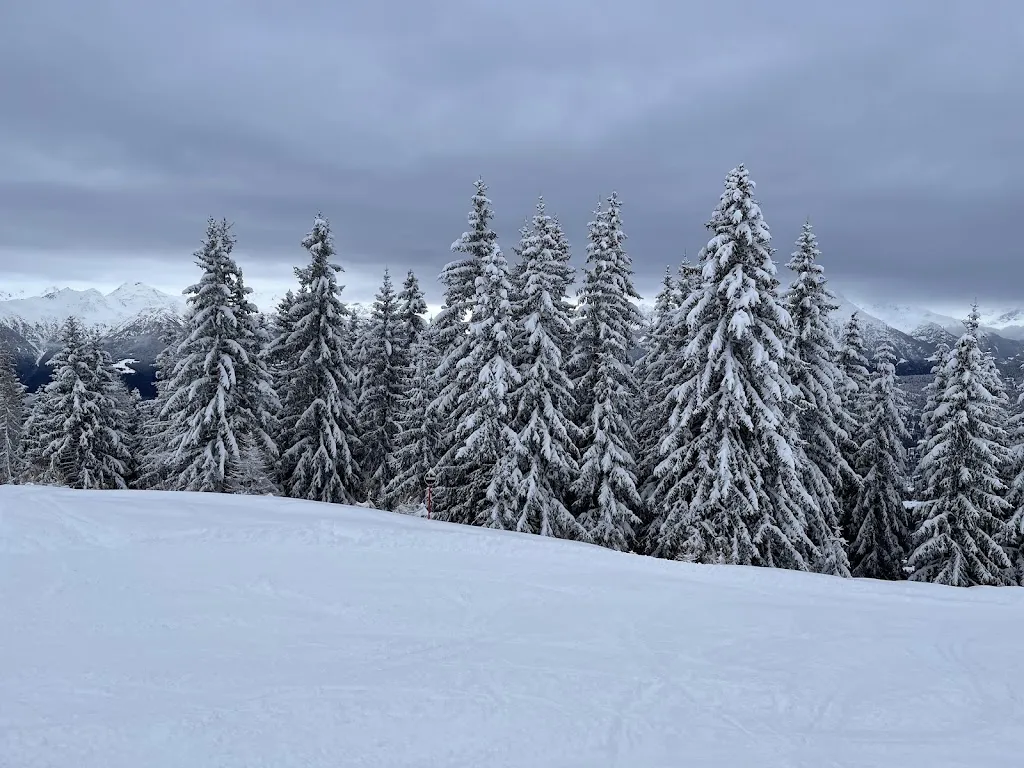 Alba “AlbaSole”_Agriturismo Malga Magnolta_Aprica_review