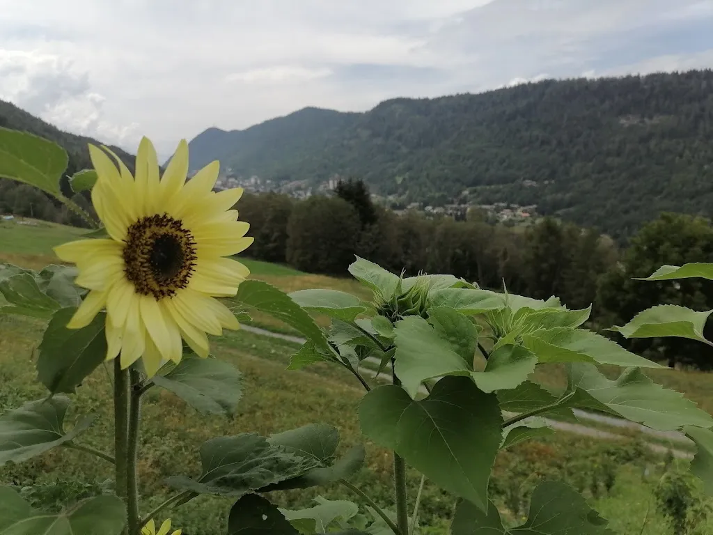 Fabio Calsamiglia_L'agriturismo al Comù_Aprica_review