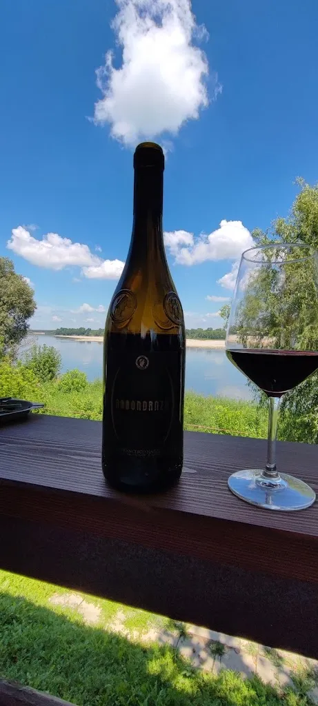 Rocco basiricò_AvamPOsto sul Grande Fiume_Arena Po_recensione