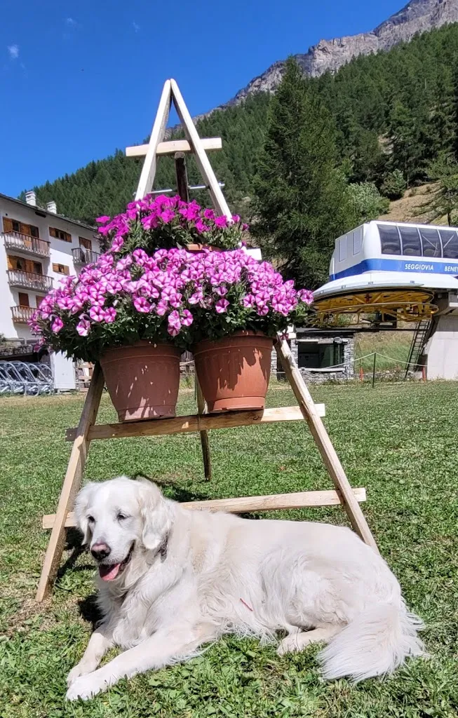 Marina Sanvito_Bistrot La Luge Bar, Hamburgeria e tavola calda_Valgrisenche_recensione