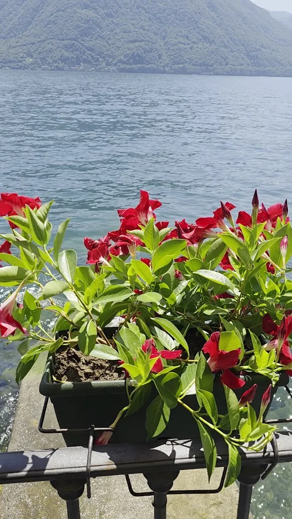 The Port Cafè_Argegno_slider_image_2