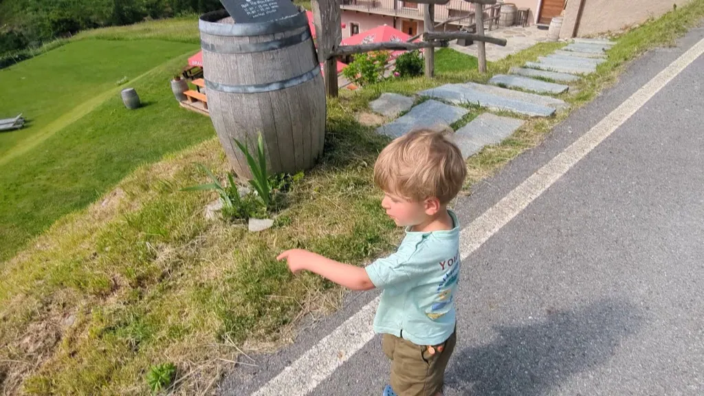 Giasson - Chambre d'hôte - Petit Restaurant_Valgrisenche_slider_image_2