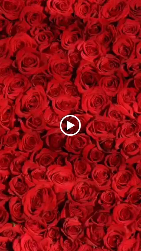 Ristorante Il Bait_Artogne_slider_image_2