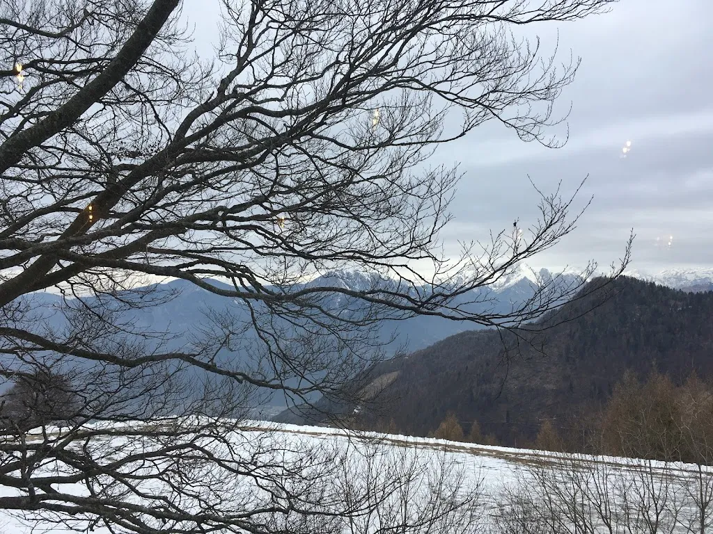 David Gaal_Baita Dello Sciatore_Artogne_review