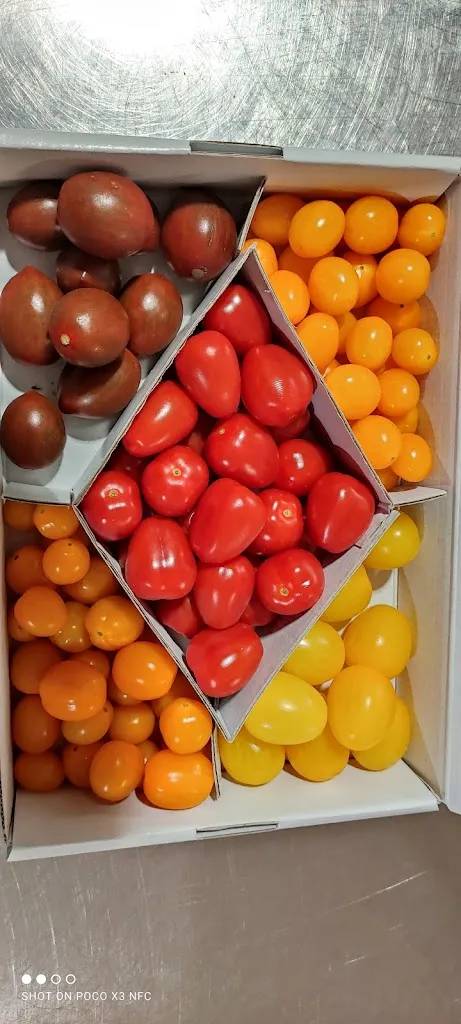 Menu_Pizzeria LACALAMITA#fornoalegna_Arsago Seprio_image_5