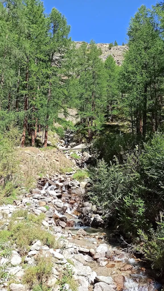 Rodrigo_Rifugio Tetras Lyre - Campo Base Gran Paradiso_Valsavarenche_review