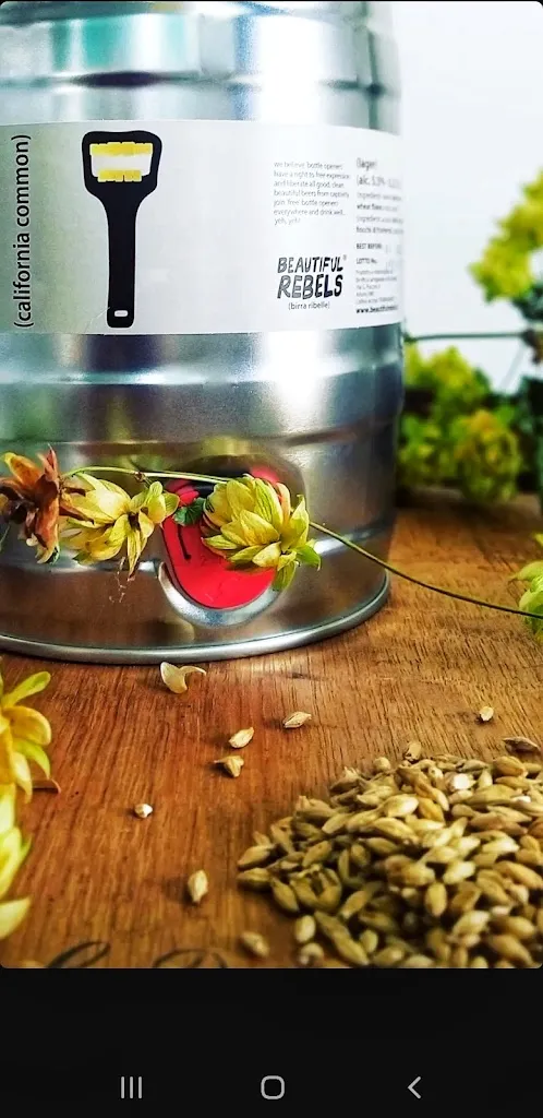 Menu_Beautiful Rebels_Arluno_image_6