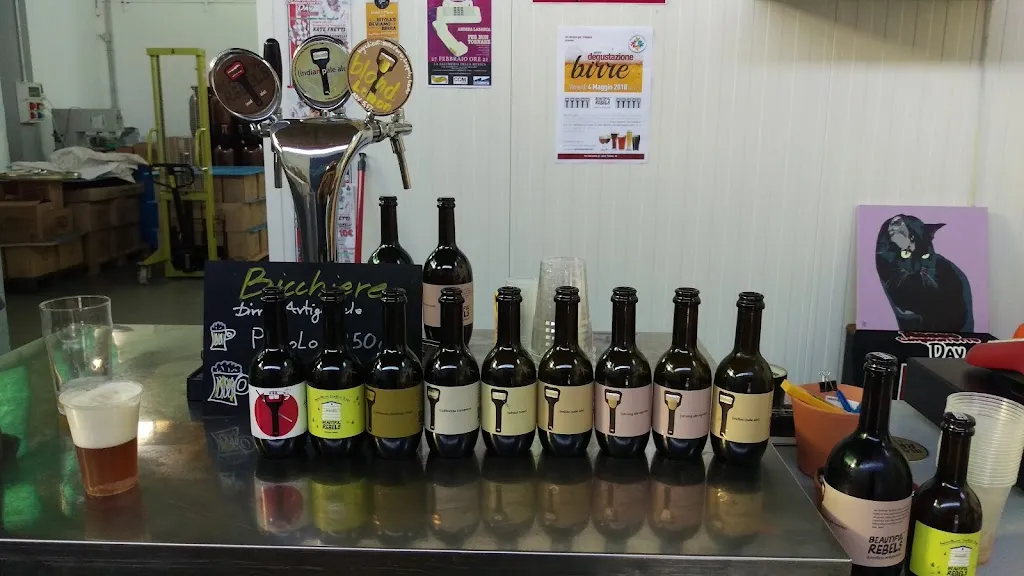 Luca Garavaglia_Beautiful Rebels_Arluno_review