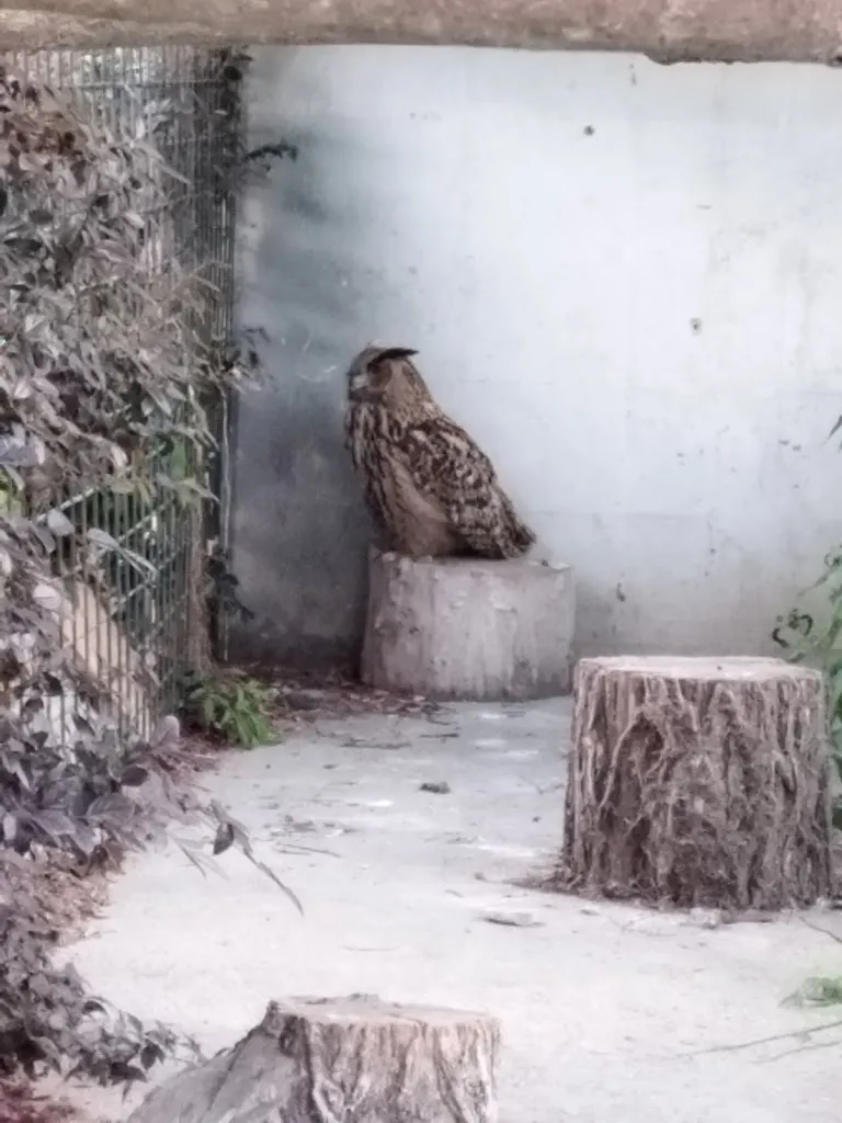 Luana_Ristorante Agriturismo Cascina Madonnina_Arluno_review