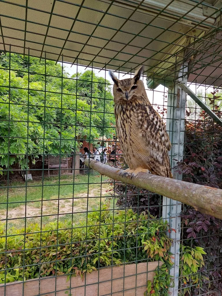 Ristorante Agriturismo Cascina Madonnina_Arluno_slider_image_2