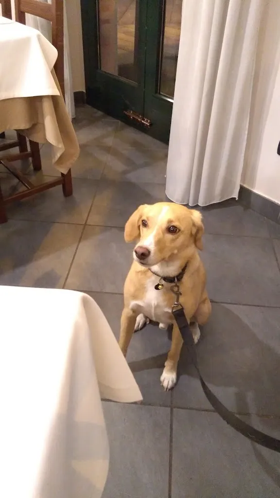 Rainer Grundmann_Ristorante La Vecchia Arluno_Arluno_review