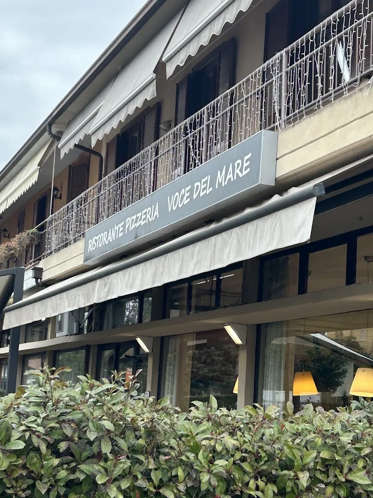 Rytis K_Ristorante pizzeria Voce del mare di D'Andrea Emilio_Azzate_review