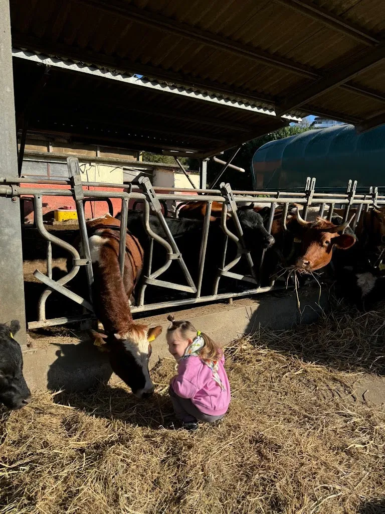 Natalia V Rusanova_Fattoria Canale_Azzate_review