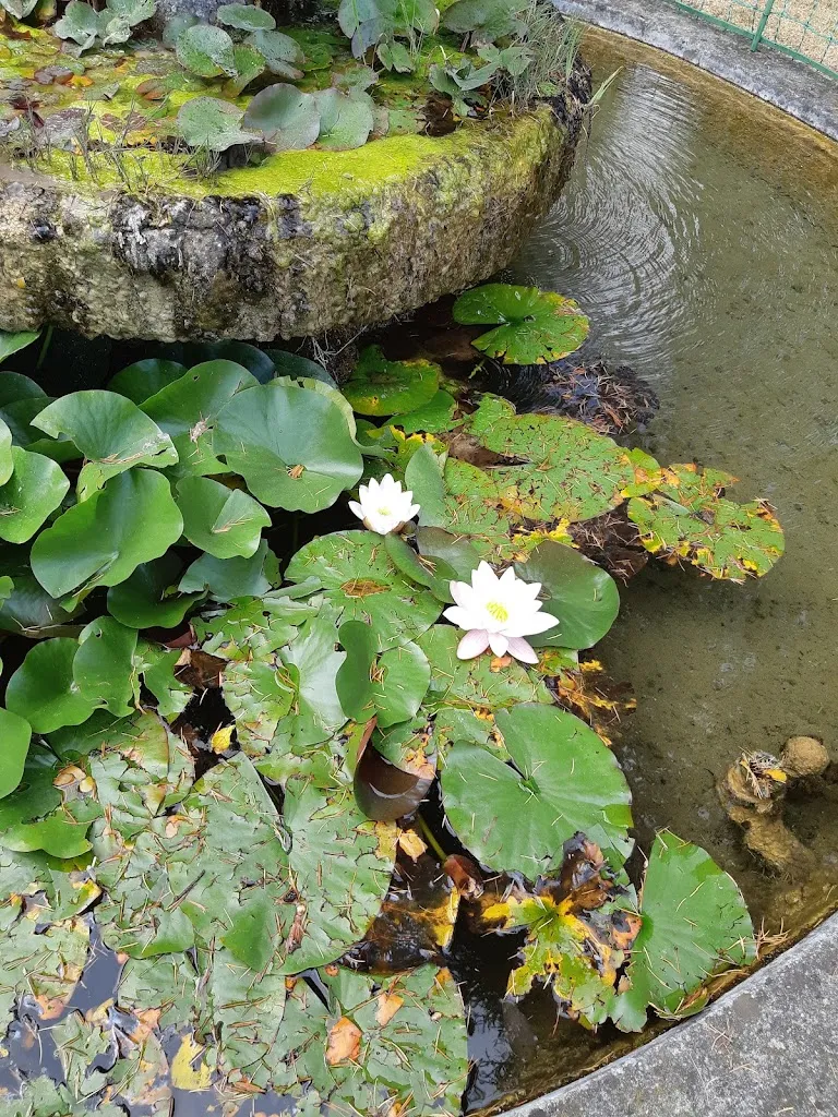 Beatrice Conti_Home Miravalle all' Annunciata_Azzone_review