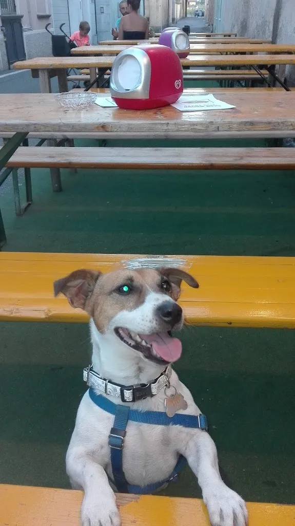 Punto Pizza di Pacchioni Marco_Bagnolo Cremasco_slider_image_2