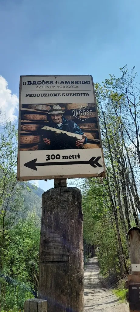 mizutah0_Il Bagòss di Amerigo_Bagolino_review