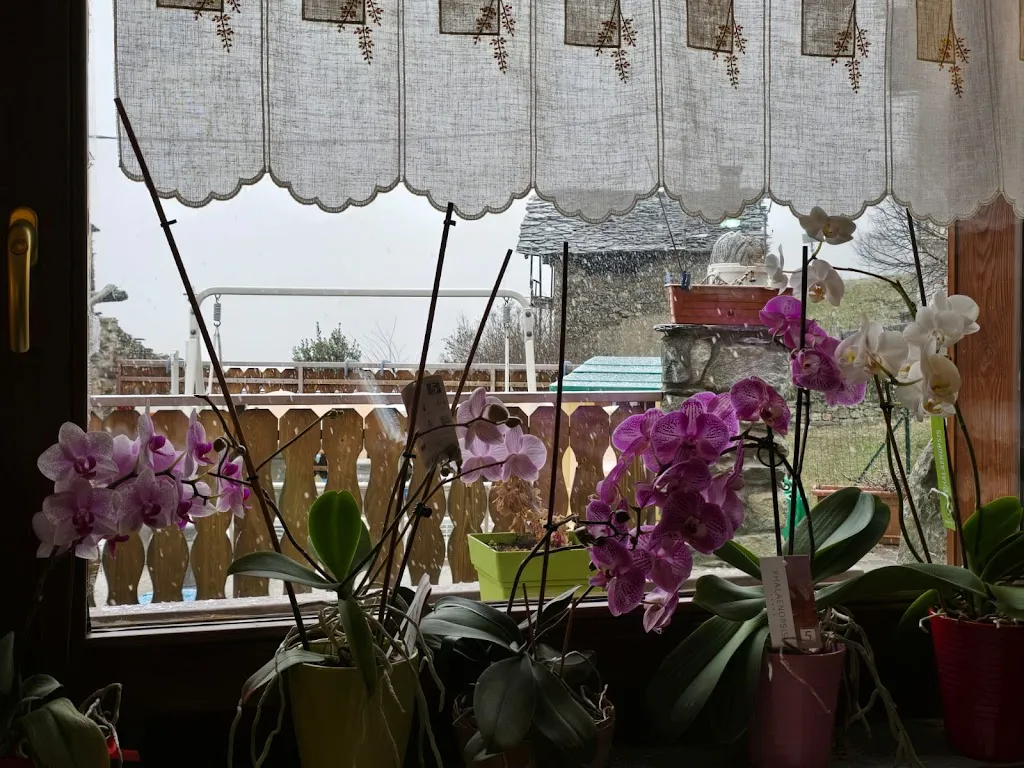 Guido Bevilacqua_Les Lillas_Verrayes_review