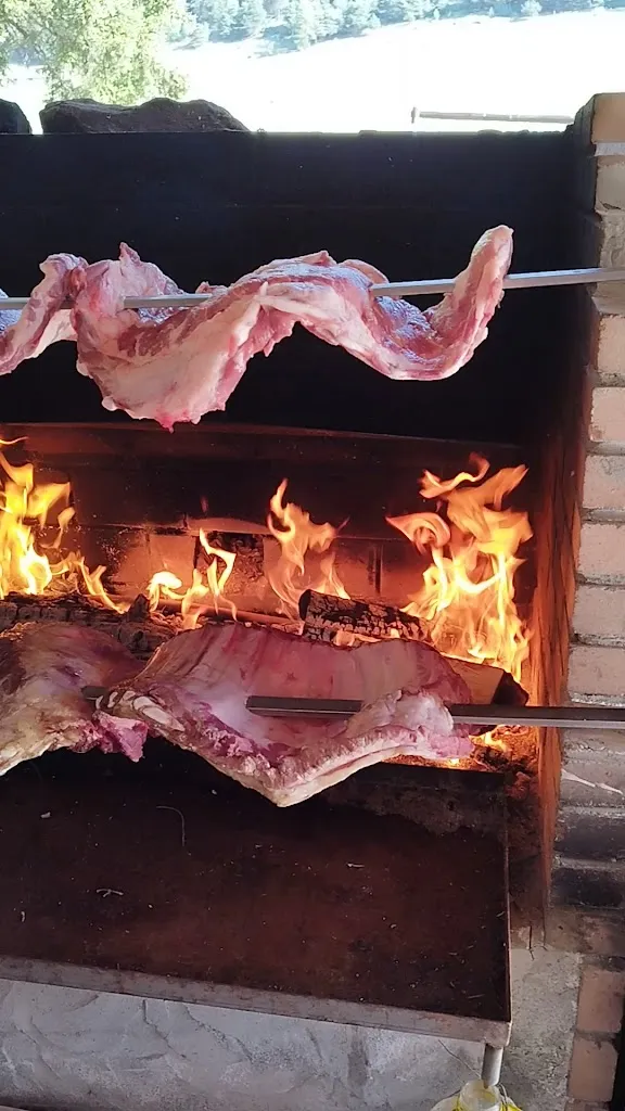 Tiziana Trevisan_LaTana DegliOrsi_Verrayes_review