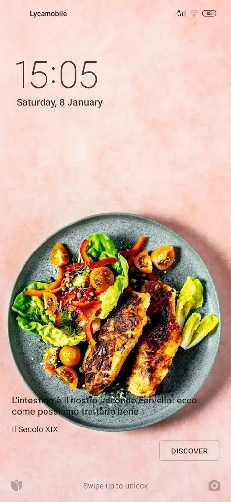 Menu_Indian Kebab e pizza_Bagnolo San Vito_immagine_3