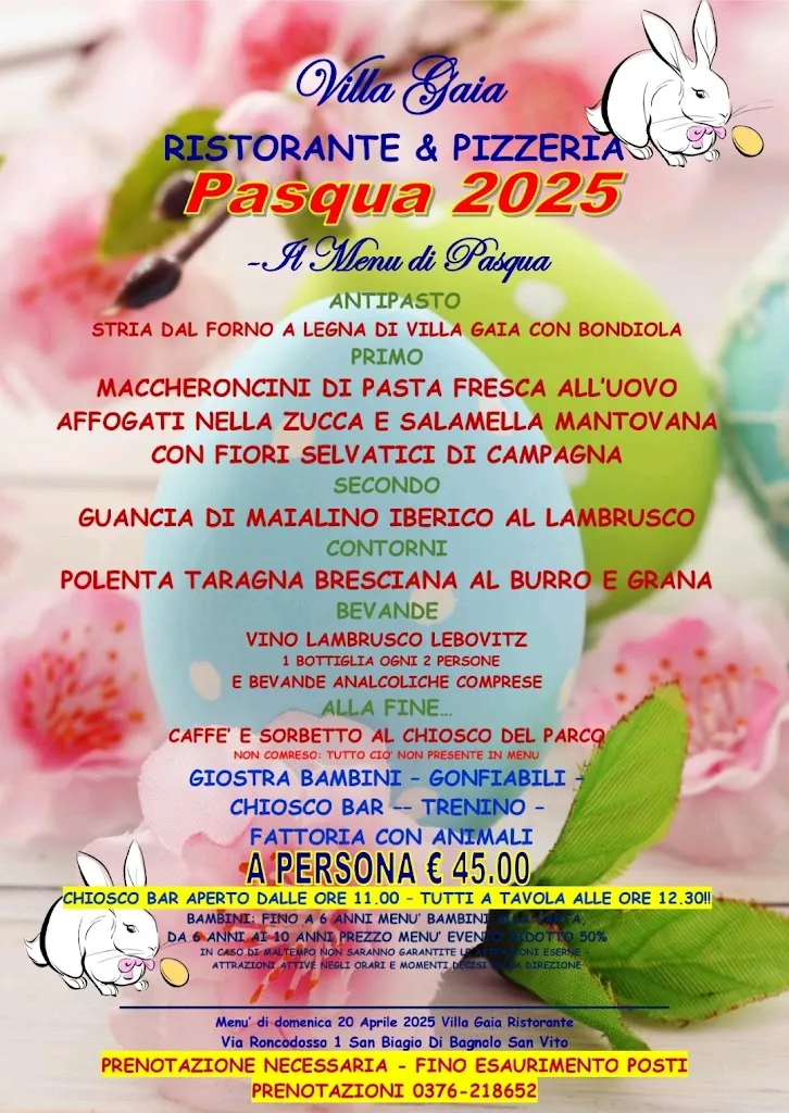 Menu_Pizzeria Ristorante Villa Gaia - Parco Divertimenti - Fattoria_Bagnolo San Vito_image_1