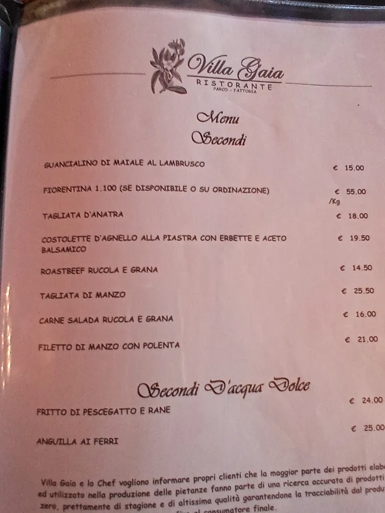 Menu_Pizzeria Ristorante Villa Gaia - Parco Divertimenti - Fattoria_Bagnolo San Vito_image_3