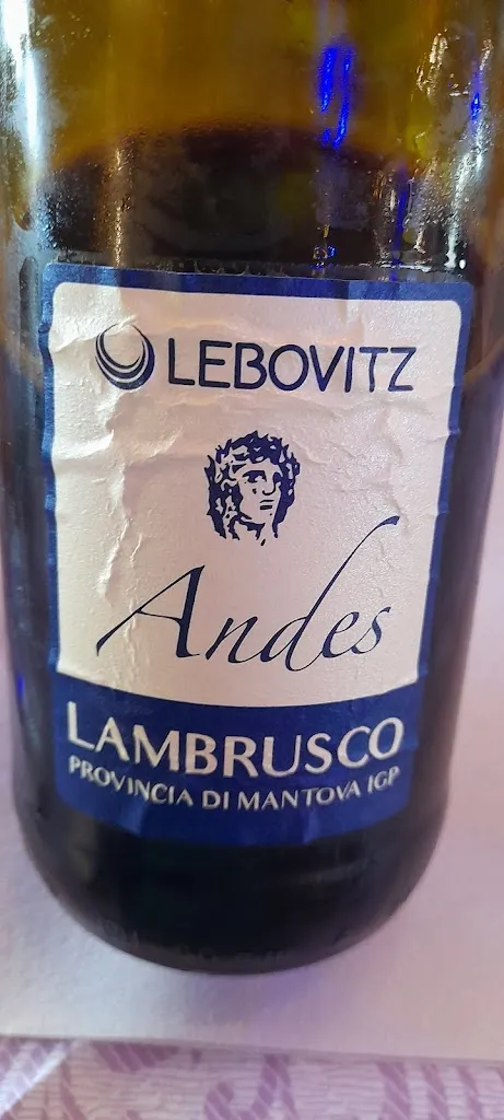 Menu_Pizzeria Ristorante Villa Gaia - Parco Divertimenti - Fattoria_Bagnolo San Vito_image_8