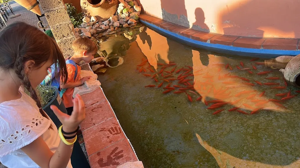 Fabrizia Zanca_Pizzeria Ristorante Villa Gaia - Parco Divertimenti - Fattoria_Bagnolo San Vito_review