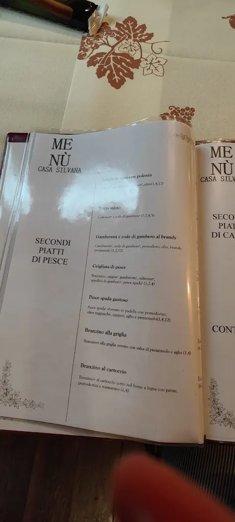Menu_Trattoria Casa Silvana_Bagnolo San Vito_image_3
