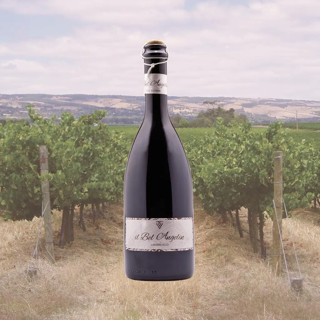 Cantine Giubertoni Wine shop Bagnolo San Vito_Bagnolo San Vito_slider_image_3