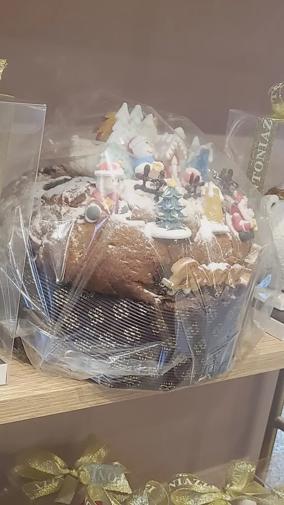 Menu_Antoniazzi_Bagnolo San Vito_image_4