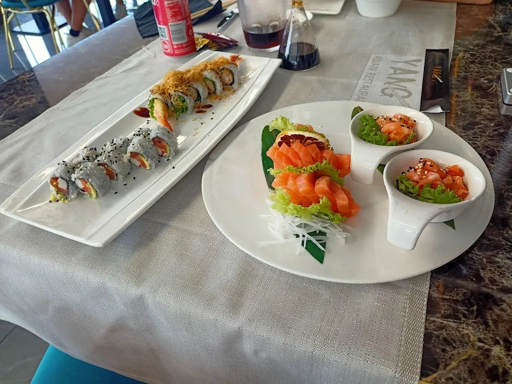 Menu_Yang Asian Restaurant - Bagnolo Mella_Bagnolo Mella_image_6