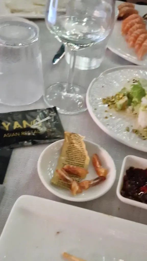 Yang Asian Restaurant - Bagnolo Mella_Bagnolo Mella_slider_image_2