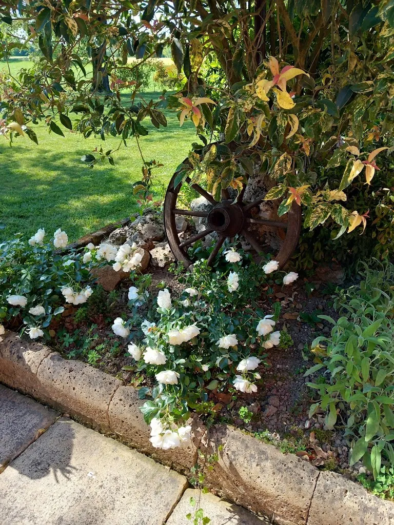 manuela manfredi_Ristorante Corte delle Fate_Bagnolo Mella_review