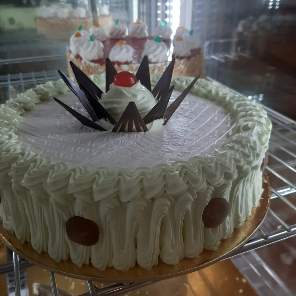 Menu_Haveli ristorante_Bagnolo Mella_image_4