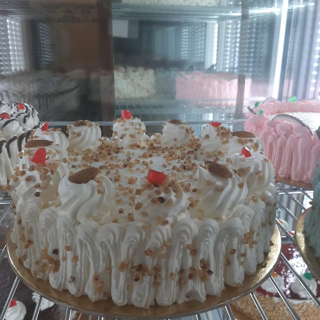 Menu_Haveli ristorante_Bagnolo Mella_image_5