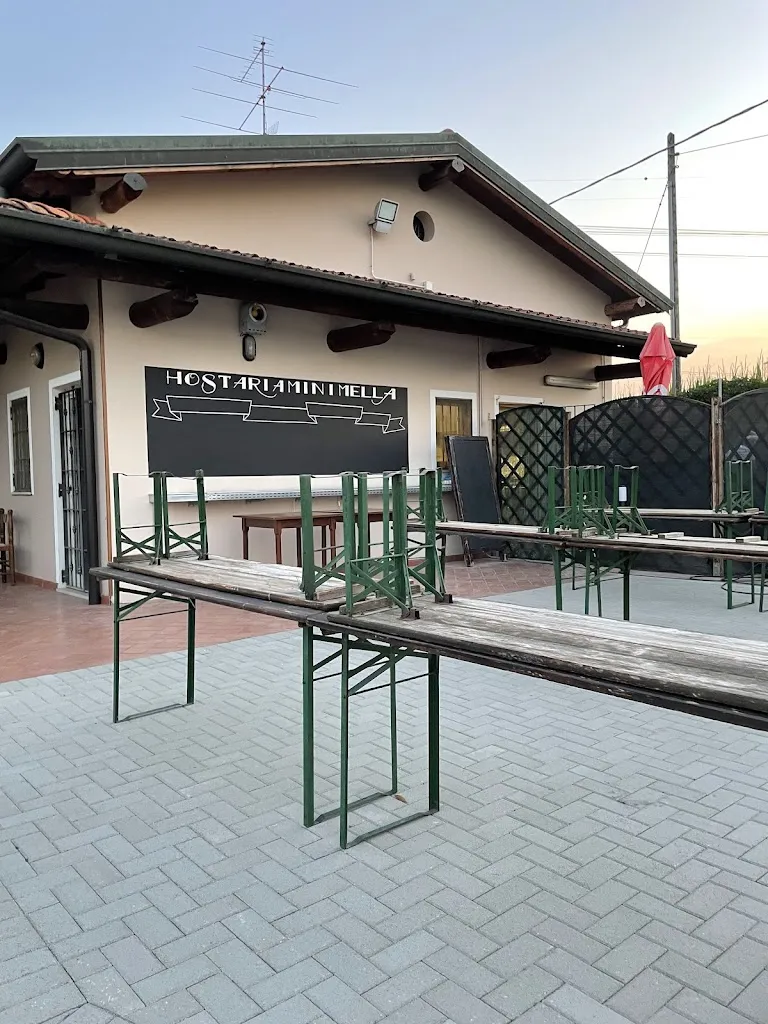 Elena Dessy_Hostaria Minimella_Bagnolo Mella_avis