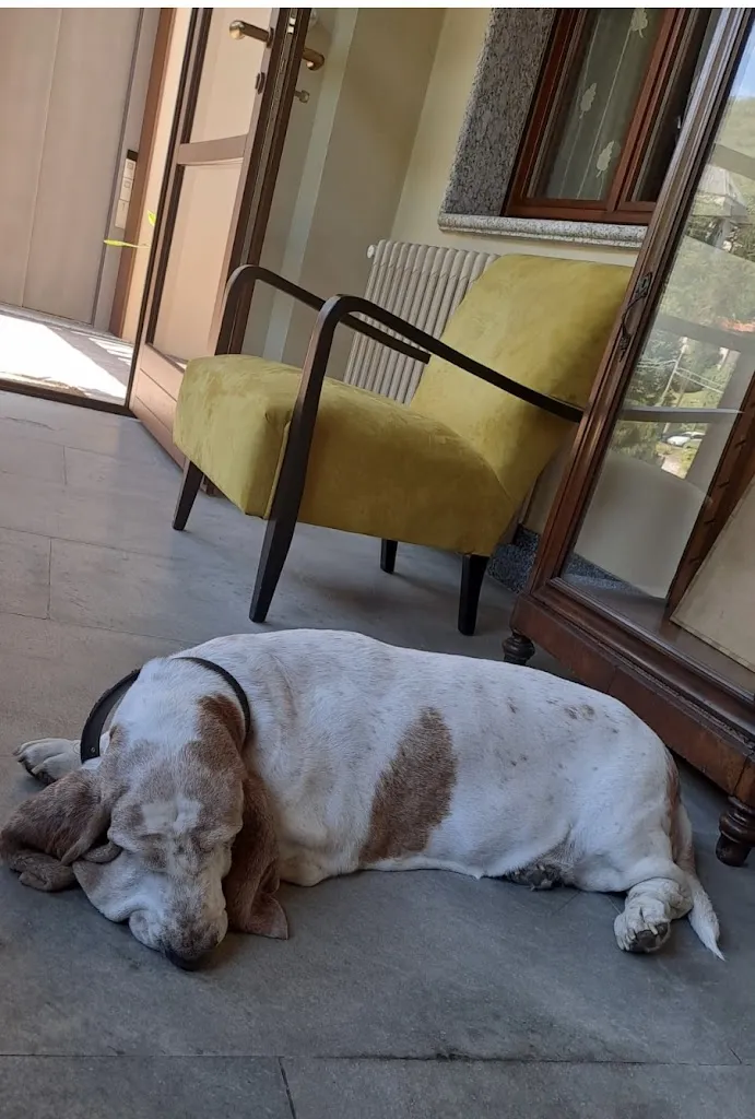 Hillary Anghileri_Hotel Ballestrin_Barzio_review