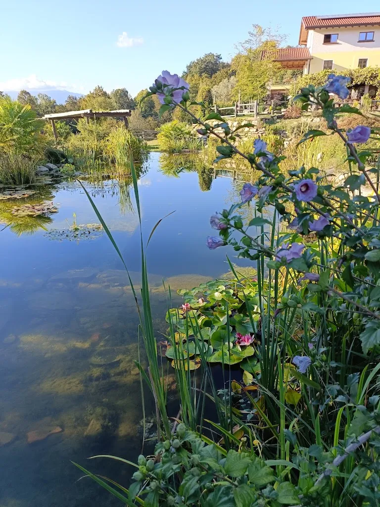 pamela tombolato_Ristorante @ Agriturismo Il Balcone sulla Valle_Bedero Valcuvia_review