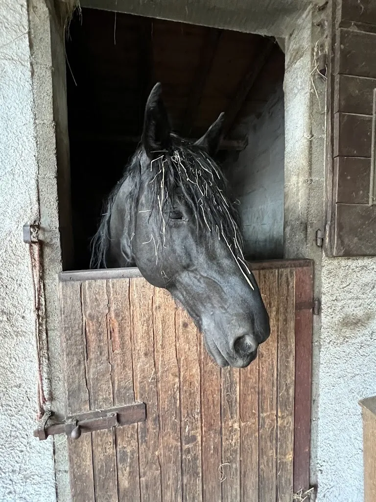 Elena A_Balcony On The Valley_Bedero Valcuvia_recensione