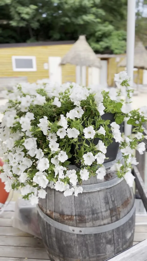 Rob Collins_Lido' ristorante pizzeria SPIAGGIA_Ville Sur Sarre_review